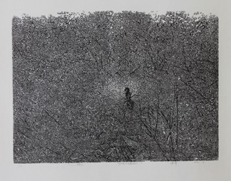 Li Jun 李军
Dancing in the Sunshine
Woodcut 445mm x 600mm
Li Jun 李军
Dancing in the Sunshine
Woodcut 445mm x 600mm